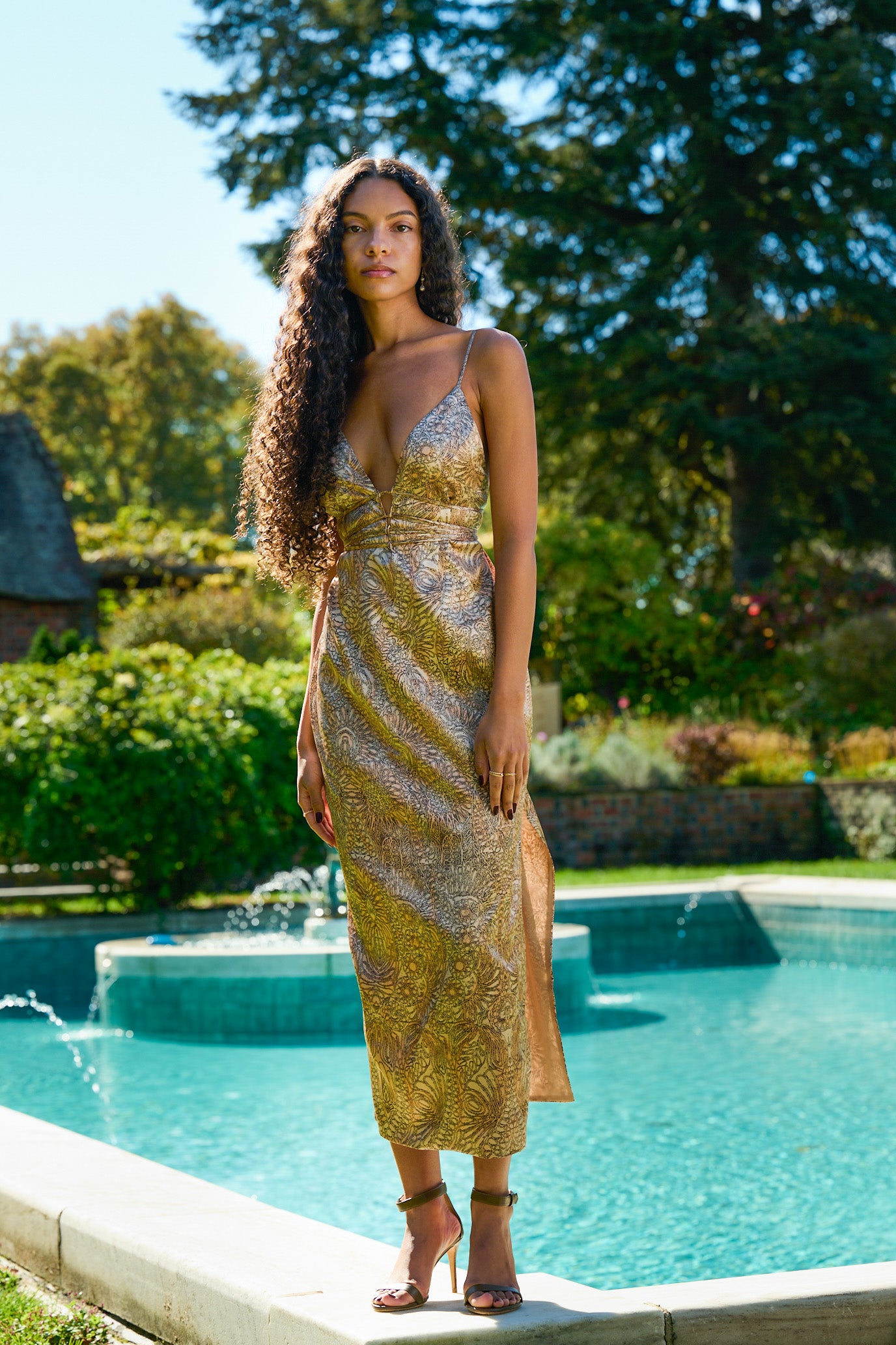 Cucciolo in Biscotti